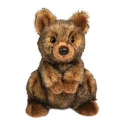 Best Quinn Quokka Wildlife