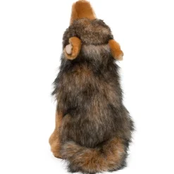 Hot Rambler Coyote Wildlife
