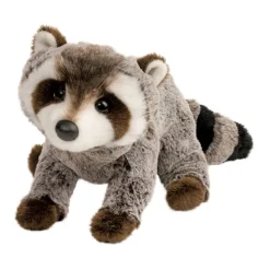 Best Ringo Raccoon Wildlife