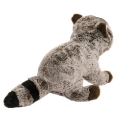 Best Ringo Raccoon Wildlife