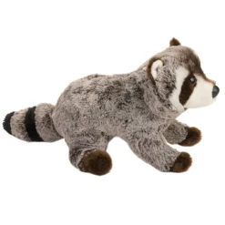 Best Ringo Raccoon Wildlife