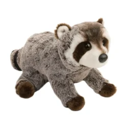 Best Ringo Raccoon Wildlife