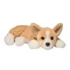 Best Rudy Corgi Dogs