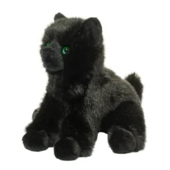Best Salem Black Cat Cats