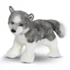 Best Sasha Husky Dogs