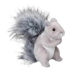 Outlet Shasta Gray Squirrel Wildlife