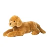 Best Sherman Golden Retriever, Medium Dogs