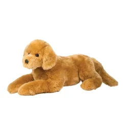 Best Sherman Golden Retriever, Medium Dogs