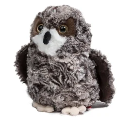 New Shrill Saw-Whet Owl Wildlife