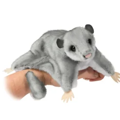 Sale Squeek Sugar Glider Wildlife