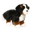 Best Stevie Bernese Mountain Dog Dogs