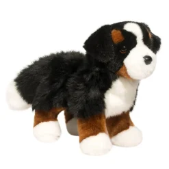 Best Stevie Bernese Mountain Dog Dogs