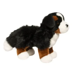Best Stevie Bernese Mountain Dog Dogs