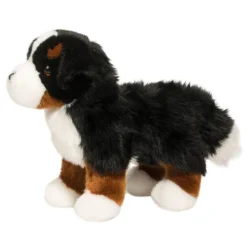 Best Stevie Bernese Mountain Dog Dogs