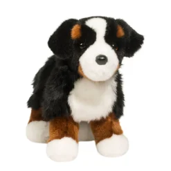 Best Stevie Bernese Mountain Dog Dogs