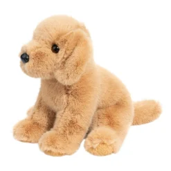 Best Super Goldie Soft Golden Retriever Dogs