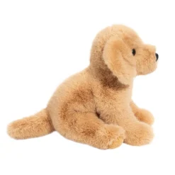 Best Super Goldie Soft Golden Retriever Dogs