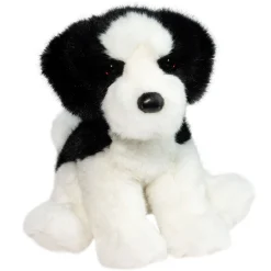 Outlet Teefer Shih Tzu Dogs