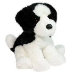 Outlet Teefer Shih Tzu Dogs