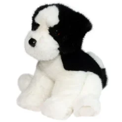 Outlet Teefer Shih Tzu Dogs