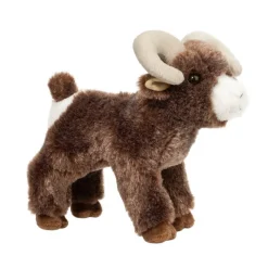 Best Teton Bighorn Sheep Wildlife