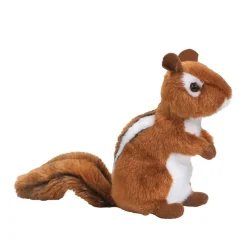 Best Tilly Chipmunk Wildlife