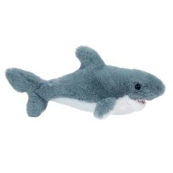 New Torpedo Shark Sea Life