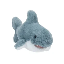 New Torpedo Shark Sea Life