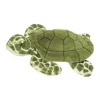 Outlet Toti Sea Turtle Sea Life