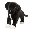 Hot Twister Black Lab/Pit Bull Mix Dogs