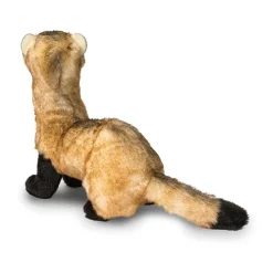 Best Vince Black Footed Ferret Wildlife