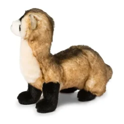 Best Vince Black Footed Ferret Wildlife