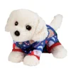 Sale White Retriever Small Pj Pup Dogs
