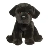 Best Whittaker Black Lab Dogs