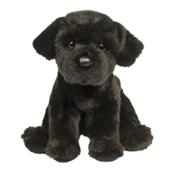 Best Whittaker Black Lab Dogs