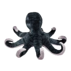 Sale Winky Octopus Sea Life
