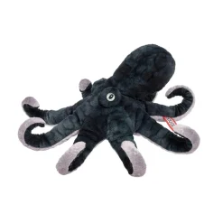 Sale Winky Octopus Sea Life