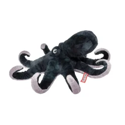 Sale Winky Octopus Sea Life