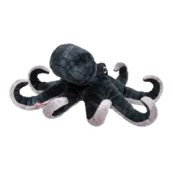 Sale Winky Octopus Sea Life