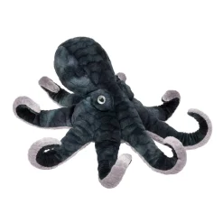 Sale Winky Octopus Sea Life