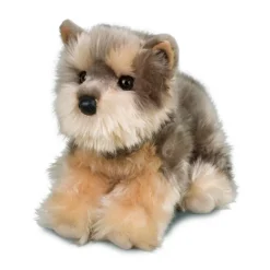 Best Yettie Yorkie Dogs