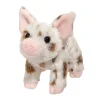Sale Yogi Brown Spotted Pig Farm