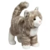 Clearance Zipper Gray Tabby Cat Cats