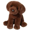 Sale Zoom Chocolate Lab Dogs