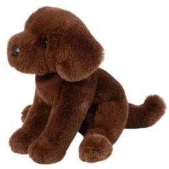 Sale Zoom Chocolate Lab Dogs