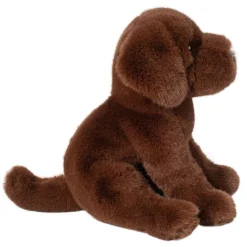 Sale Zoom Chocolate Lab Dogs