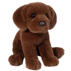 Sale Zoom Chocolate Lab Dogs